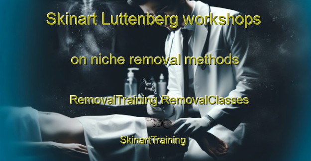 Skinart Luttenberg workshops on niche removal methods | #RemovalTraining #RemovalClasses #SkinartTraining-Netherlands