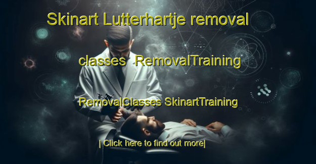 Skinart Lutterhartje removal classes | #RemovalTraining #RemovalClasses #SkinartTraining-Netherlands