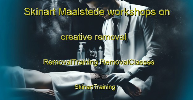 Skinart Maalstede workshops on creative removal | #RemovalTraining #RemovalClasses #SkinartTraining-Netherlands