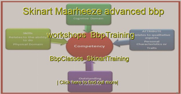 Skinart Maarheeze advanced bbp workshops | BbpTraining | BbpClasses | SkinartTraining-Netherlands
