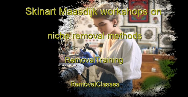 Skinart Maasdijk workshops on niche removal methods | RemovalTraining | RemovalClasses | SkinartTraining-Netherlands