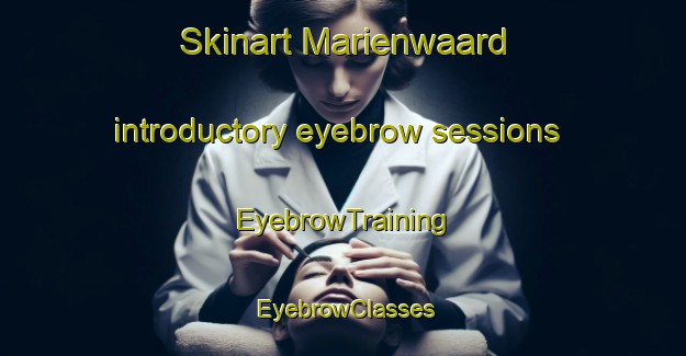 Skinart Marienwaard introductory eyebrow sessions | EyebrowTraining | EyebrowClasses | SkinartTraining-Netherlands
