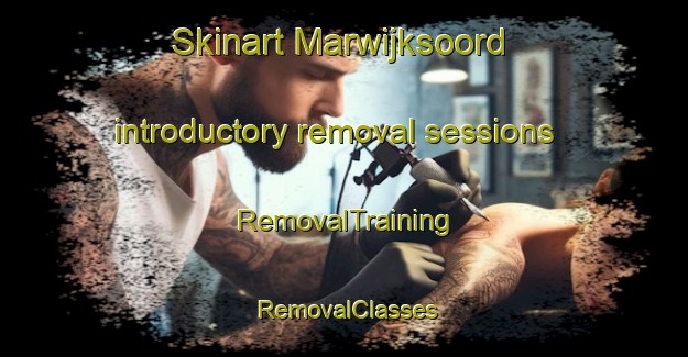 Skinart Marwijksoord introductory removal sessions | RemovalTraining | RemovalClasses | SkinartTraining-Netherlands