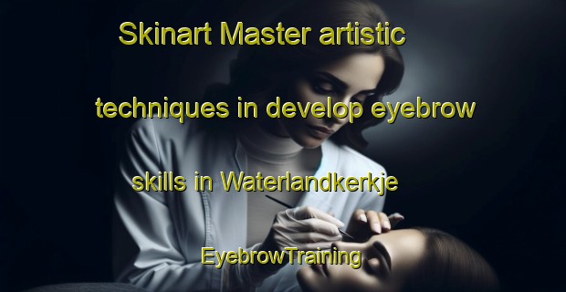 Skinart Master artistic techniques in develop eyebrow skills in Waterlandkerkje | EyebrowTraining | EyebrowClasses | SkinartTraining-Netherlands