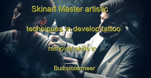Skinart Master artistic techniques in develop tattoo removal skills in Buikslotermeer | RemovalTraining | RemovalClasses | SkinartTraining-Netherlands