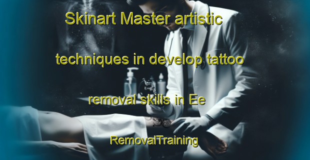 Skinart Master artistic techniques in develop tattoo removal skills in Ee | RemovalTraining | RemovalClasses | SkinartTraining-Netherlands