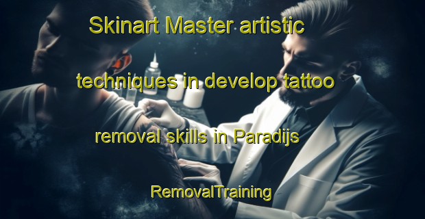Skinart Master artistic techniques in develop tattoo removal skills in Paradijs | RemovalTraining | RemovalClasses | SkinartTraining-Netherlands