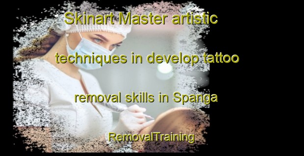 Skinart Master artistic techniques in develop tattoo removal skills in Spanga | RemovalTraining | RemovalClasses | SkinartTraining-Netherlands