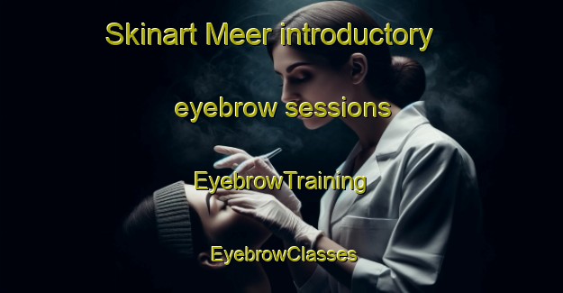 Skinart Meer introductory eyebrow sessions | EyebrowTraining | EyebrowClasses | SkinartTraining-Netherlands