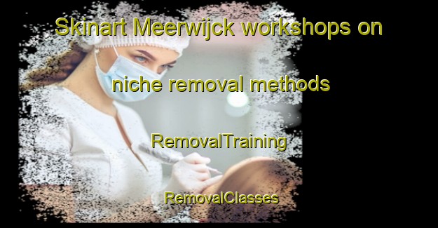 Skinart Meerwijck workshops on niche removal methods | RemovalTraining | RemovalClasses | SkinartTraining-Netherlands