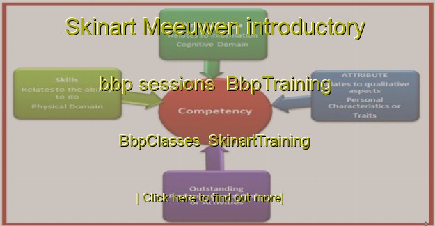 Skinart Meeuwen introductory bbp sessions | BbpTraining | BbpClasses | SkinartTraining-Netherlands