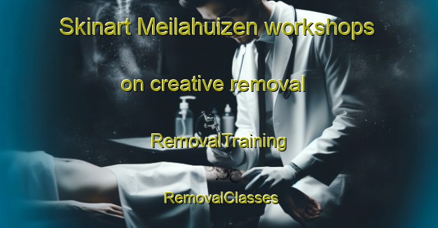 Skinart Meilahuizen workshops on creative removal | RemovalTraining | RemovalClasses | SkinartTraining-Netherlands