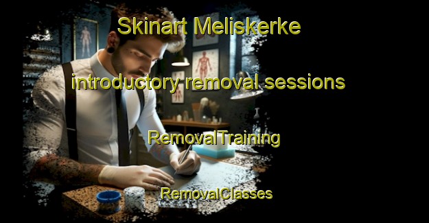 Skinart Meliskerke introductory removal sessions | RemovalTraining | RemovalClasses | SkinartTraining-Netherlands