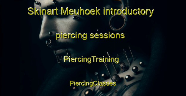 Skinart Meuhoek introductory piercing sessions | #PiercingTraining #PiercingClasses #SkinartTraining-Netherlands