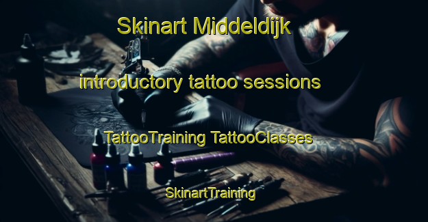 Skinart Middeldijk introductory tattoo sessions | #TattooTraining #TattooClasses #SkinartTraining-Netherlands