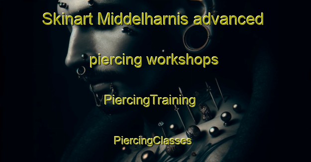 Skinart Middelharnis advanced piercing workshops | PiercingTraining | PiercingClasses | SkinartTraining-Netherlands