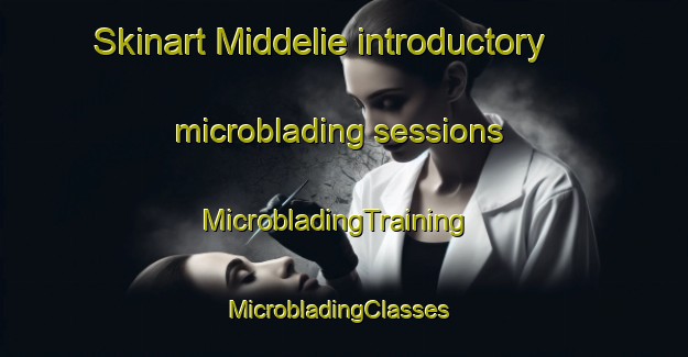 Skinart Middelie introductory microblading sessions | MicrobladingTraining | MicrobladingClasses | SkinartTraining-Netherlands
