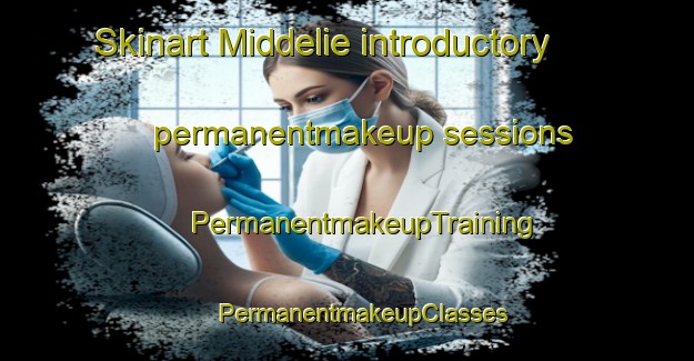 Skinart Middelie introductory permanentmakeup sessions | #PermanentmakeupTraining #PermanentmakeupClasses #SkinartTraining-Netherlands