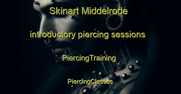 Skinart Middelrode introductory piercing sessions | #PiercingTraining #PiercingClasses #SkinartTraining-Netherlands