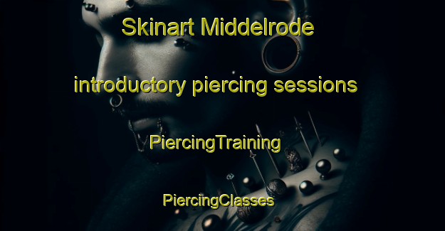 Skinart Middelrode introductory piercing sessions | PiercingTraining | PiercingClasses | SkinartTraining-Netherlands