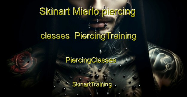 Skinart Mierlo piercing classes | PiercingTraining | PiercingClasses | SkinartTraining-Netherlands