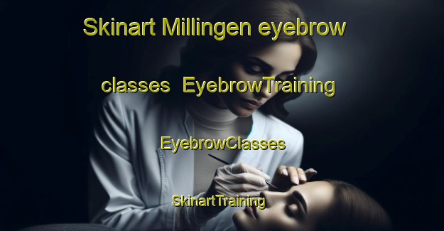 Skinart Millingen eyebrow classes | EyebrowTraining | EyebrowClasses | SkinartTraining-Netherlands