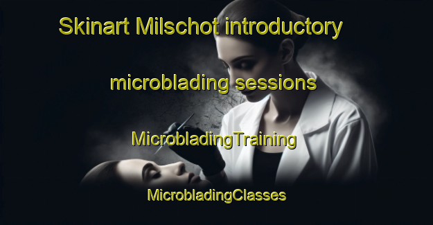 Skinart Milschot introductory microblading sessions | #MicrobladingTraining #MicrobladingClasses #SkinartTraining-Netherlands