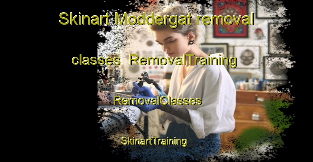 Skinart Moddergat removal classes | RemovalTraining | RemovalClasses | SkinartTraining-Netherlands