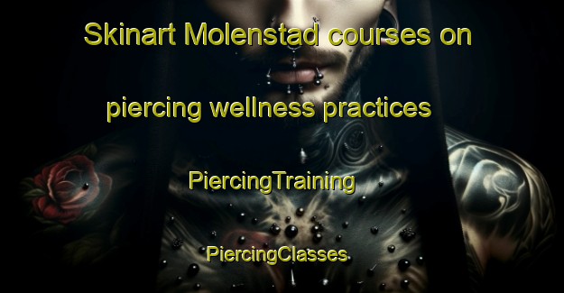 Skinart Molenstad courses on piercing wellness practices | PiercingTraining | PiercingClasses | SkinartTraining-Netherlands
