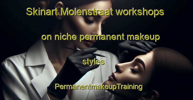 Skinart Molenstraat workshops on niche permanent makeup styles | PermanentmakeupTraining | PermanentmakeupClasses | SkinartTraining-Netherlands