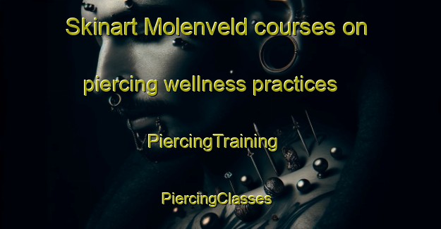 Skinart Molenveld courses on piercing wellness practices | PiercingTraining | PiercingClasses | SkinartTraining-Netherlands