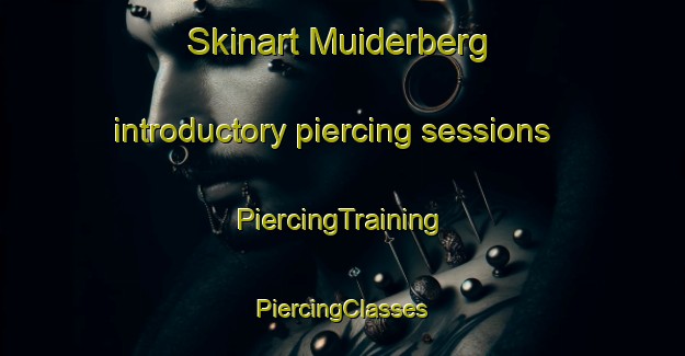 Skinart Muiderberg introductory piercing sessions | #PiercingTraining #PiercingClasses #SkinartTraining-Netherlands