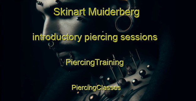 Skinart Muiderberg introductory piercing sessions | PiercingTraining | PiercingClasses | SkinartTraining-Netherlands