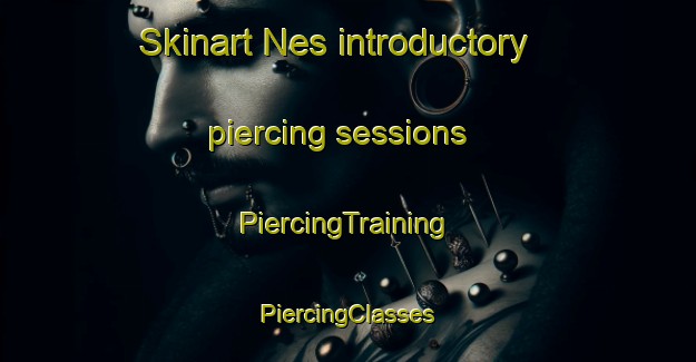 Skinart Nes introductory piercing sessions | #PiercingTraining #PiercingClasses #SkinartTraining-Netherlands