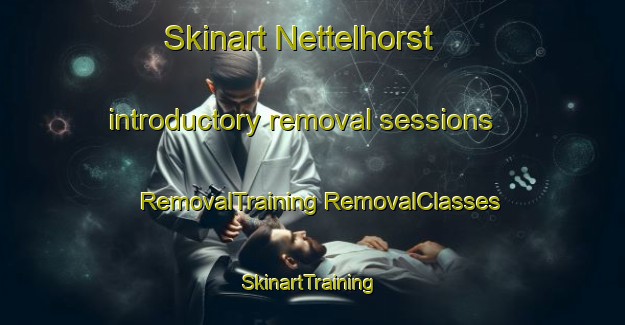 Skinart Nettelhorst introductory removal sessions | #RemovalTraining #RemovalClasses #SkinartTraining-Netherlands