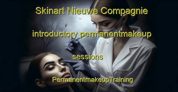 Skinart Nieuwe Compagnie introductory permanentmakeup sessions | #PermanentmakeupTraining #PermanentmakeupClasses #SkinartTraining-Netherlands