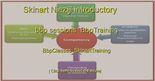 Skinart Niezijl introductory bbp sessions | BbpTraining | BbpClasses | SkinartTraining-Netherlands