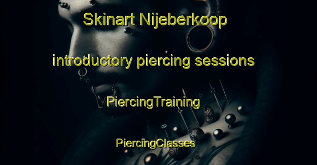 Skinart Nijeberkoop introductory piercing sessions | PiercingTraining | PiercingClasses | SkinartTraining-Netherlands