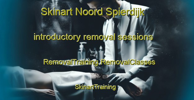 Skinart Noord Spierdijk introductory removal sessions | #RemovalTraining #RemovalClasses #SkinartTraining-Netherlands