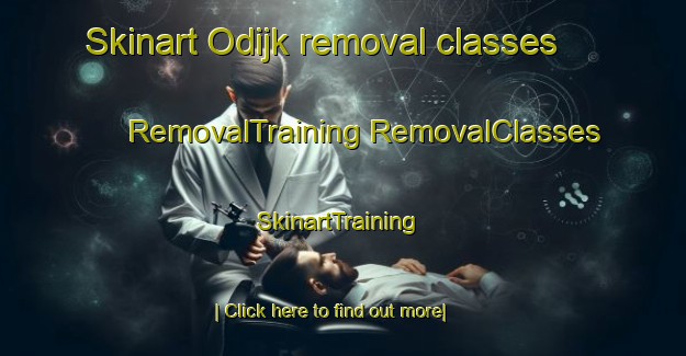 Skinart Odijk removal classes | #RemovalTraining #RemovalClasses #SkinartTraining-Netherlands