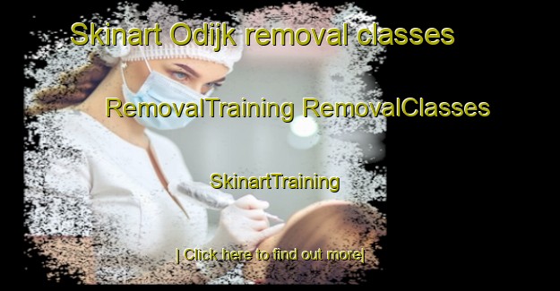 Skinart Odijk removal classes | #RemovalTraining #RemovalClasses #SkinartTraining-Netherlands