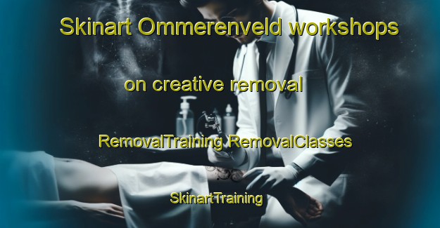 Skinart Ommerenveld workshops on creative removal | #RemovalTraining #RemovalClasses #SkinartTraining-Netherlands