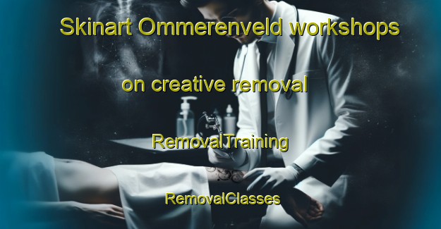 Skinart Ommerenveld workshops on creative removal | RemovalTraining | RemovalClasses | SkinartTraining-Netherlands