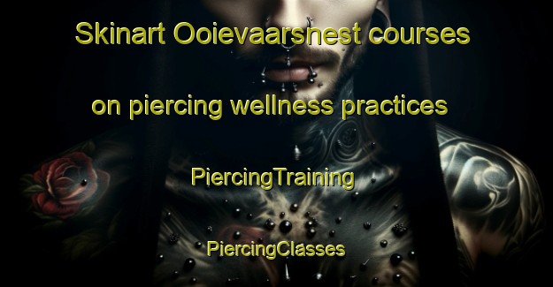 Skinart Ooievaarsnest courses on piercing wellness practices | #PiercingTraining #PiercingClasses #SkinartTraining-Netherlands