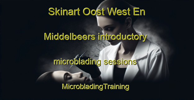 Skinart Oost West En Middelbeers introductory microblading sessions | #MicrobladingTraining #MicrobladingClasses #SkinartTraining-Netherlands