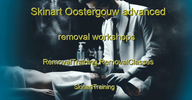 Skinart Oostergouw advanced removal workshops | #RemovalTraining #RemovalClasses #SkinartTraining-Netherlands