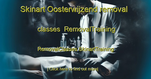 Skinart Oosterwijzend removal classes | #RemovalTraining #RemovalClasses #SkinartTraining-Netherlands