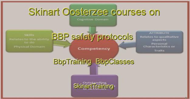Skinart Oosterzee courses on BBP safety protocols | BbpTraining | BbpClasses | SkinartTraining-Netherlands
