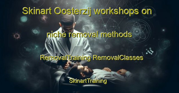 Skinart Oosterzij workshops on niche removal methods | #RemovalTraining #RemovalClasses #SkinartTraining-Netherlands