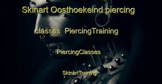 Skinart Oosthoekeind piercing classes | PiercingTraining | PiercingClasses | SkinartTraining-Netherlands